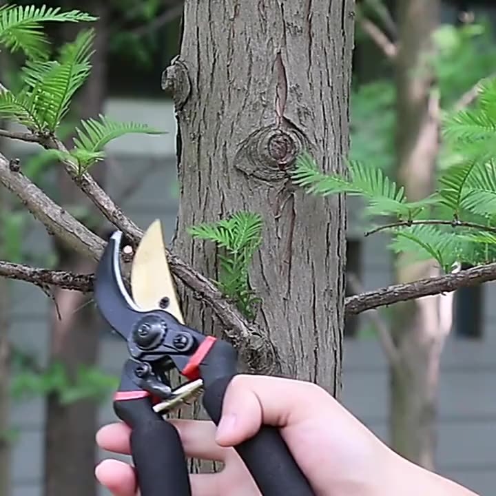 Gyümölcsfa metszőolló – vastag ágakhoz, multifunkcionális, SK5 acél penge, hordozható