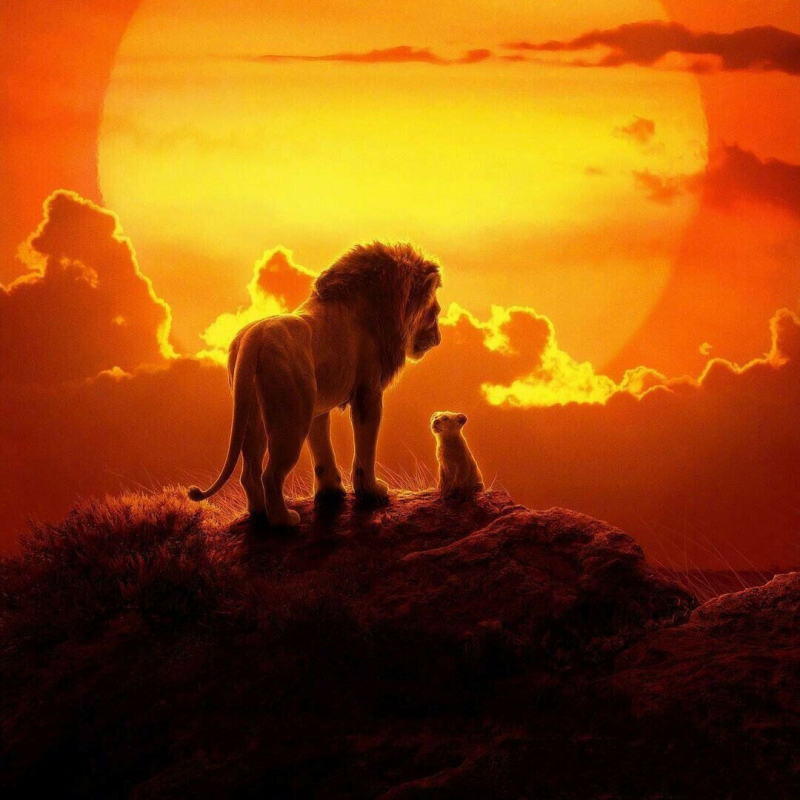 Kit pictură cu diamante 5D, diamant complet, model Cartoon/Anime, pânză 11CT, material nylon