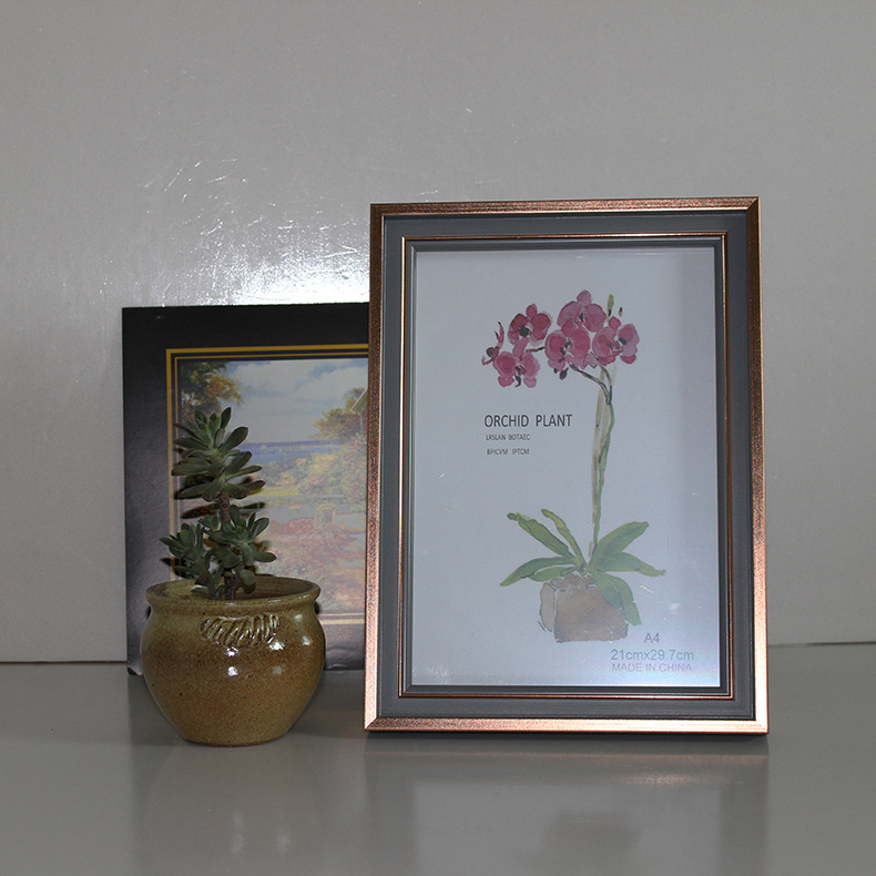 Okvir za fotografije za zid - smola, moderan stil, završni premaz pečene boje