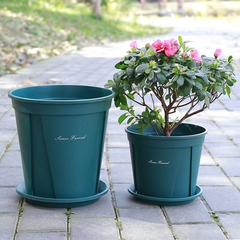 Gömb alakú, lélegző műanyag virágtartó gyökérzet-ellenőrzéssel rózsák számára, asztali vagy álló használatra