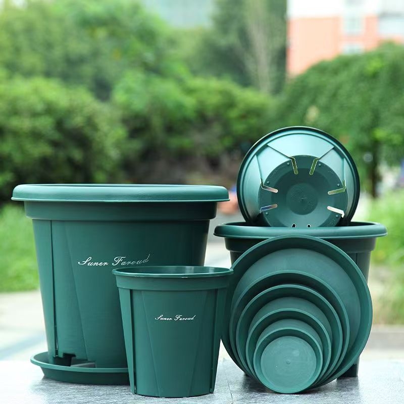 Gömb alakú, lélegző műanyag virágtartó gyökérzet-ellenőrzéssel rózsák számára, asztali vagy álló használatra