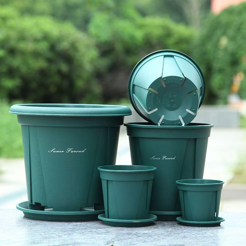 Gömb alakú, lélegző műanyag virágtartó gyökérzet-ellenőrzéssel rózsák számára, asztali vagy álló használatra