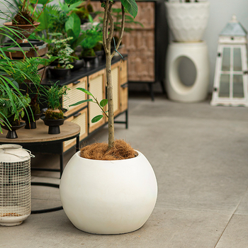 Gömb alakú magnézium-oxid virágtartó – öntöző, tartós cementes kivitel asztali vagy álló használatra