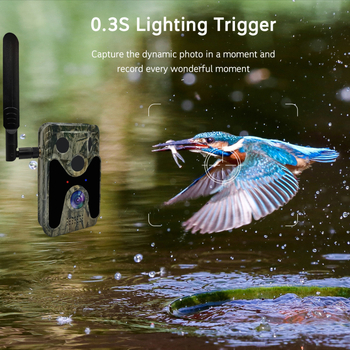 Camera de vânătoare 4G, solar pentru exterior, vizionare infraroșu noaptea 30m, 4MP/2.5K, obiectiv 2.8mm