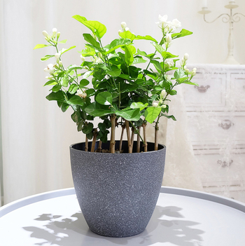 Virágcserép PP műanyagból, márvány imitációval, asztali vagy padlóra való használatra; injekciós öntéssel készített, tartós