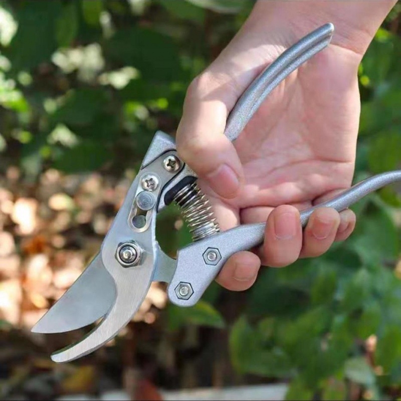 Bonsai škare za obrezivanje sa zglobom kugom – sferni alat za obrezivanje stabala i cvijeća