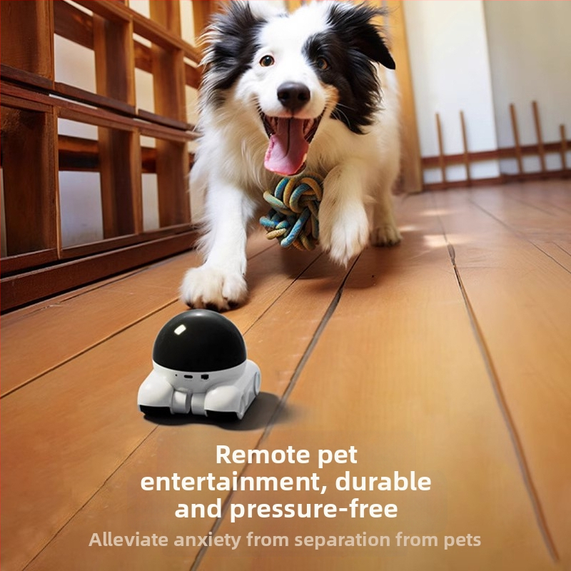 Cameră inteligentă pentru monitorizarea animalelor de companie cu control prin aplicație mobilă, 1080p, distanța focală 3.6mm, rază 30m+, vedere nocturnă