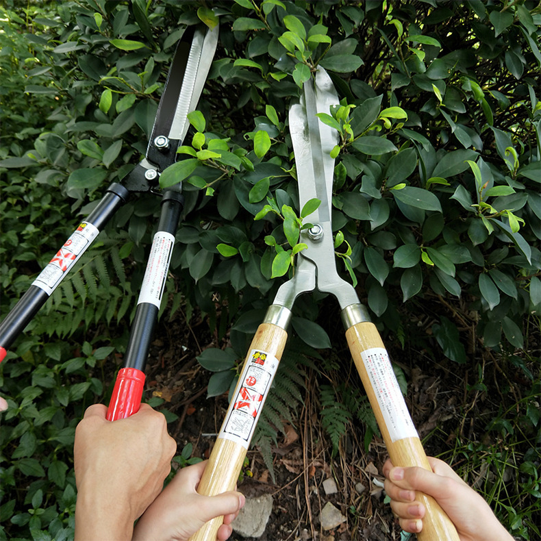 Foarfă de grădină cu mâner extensibil – oțel SK5, pentru pomi fructiferi, ramuri înalte, garduri vii și gazon, economie de efort