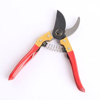 Snow Fly Foarfecă de grădină pentru tăierea ramurilor la pomi fructiferi — Foarfece pentru ramuri și flori, Diverse specificații