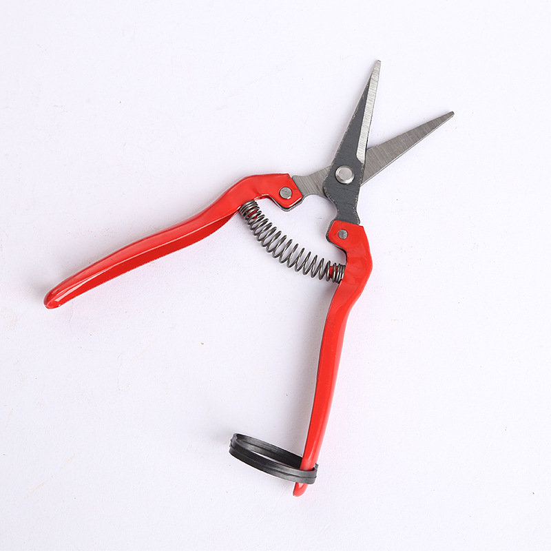 Snow Fly Foarfecă de grădină pentru tăierea ramurilor la pomi fructiferi — Foarfece pentru ramuri și flori, Diverse specificații