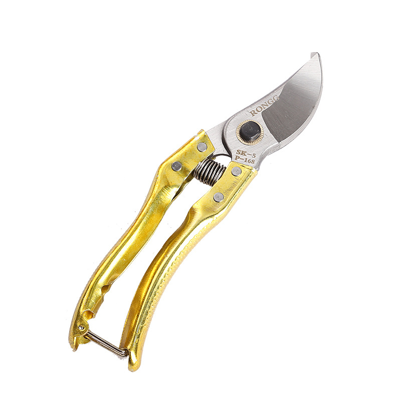 Snow Fly Foarfecă de grădină pentru tăierea ramurilor la pomi fructiferi — Foarfece pentru ramuri și flori, Diverse specificații