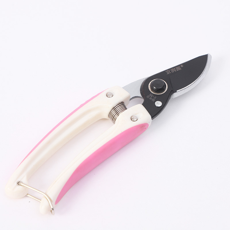 Vrtne škare od visokougljičnog čelika – kompletan set alata za podrezivanje, debele oštrice, Jing Run Yuan