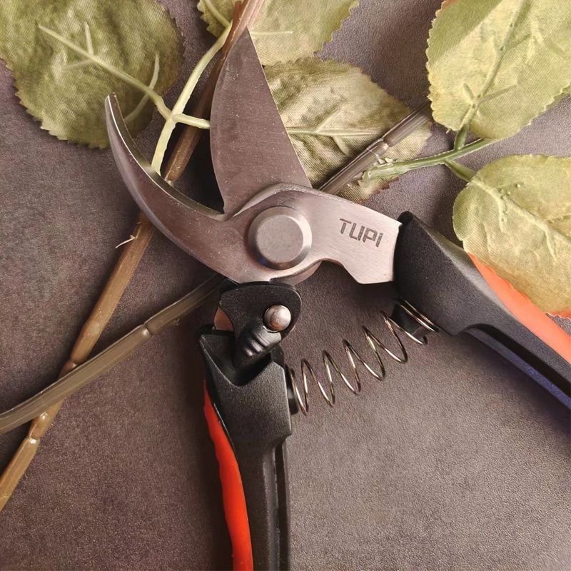 Vrtne škare za podrezivanje cvjetnih grančica i voćnih stabala – posebne škare