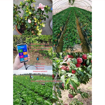Talajtermékenység-mérő készülék nedvességre, hőmérsékletre, EC-re és pH-ra — nitrogén és foszfor indikátorok