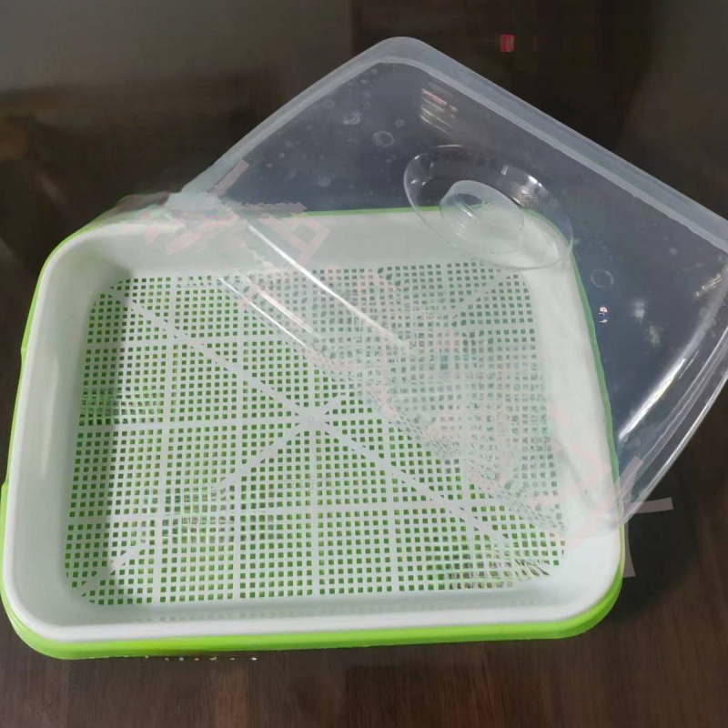 Tava za fermentaciju s poklopcem za plesnivo tofu