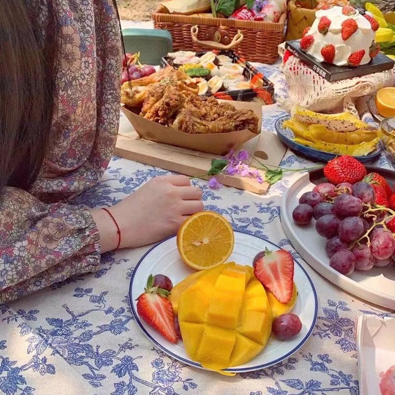 Χαλάκι πικνίκ, αδιάβροχο, 80% πολυεστέρας + 20% βαμβάκι, αδιάβροχος στρώμα PE βαμβάκι, καμβάς εξωτερικά ύφασμα, κατάλληλο για παραλία, πικ νικ και μπάρμπεκιου