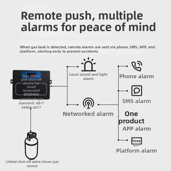 Alarmă de gaze pentru gaze combustibile – 12–24 VDC, curent de alarmă 0,8 A, rază de detecție 1,5 m, Model: Alarmă mică pentru bucătării de restaurante