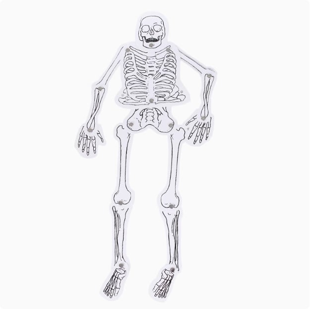 STEAM hariduskomplekt lastele: Füüsika eksperimendid, DIY tehnoloogia materjalid, Puidust konstruktsioon, Mõeldud vanusele 7–14 aastat