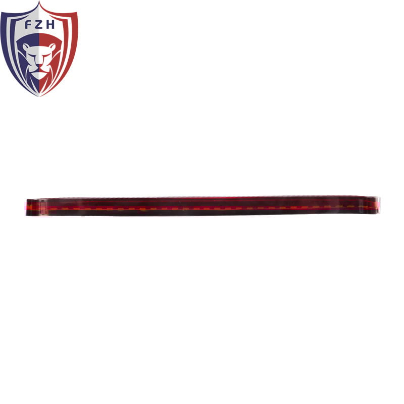 Задна светлина за Fat bully мотоциклет с LED светлина за движение, LED мигачи и спирачна светлина