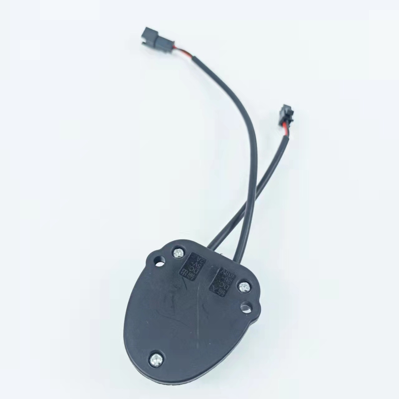 USB punjač za elektromobilna vozila – vodootporan, 12/60/72V, Flying, za električne automobile i motocikle, modeli Veliki/Srednji/Mali