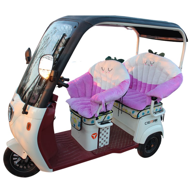 Σετ καλυμμάτων εμπρός και πίσω καθίσματος ηλεκτρικού τρίκυκλου, βελούδινο και ζεστό, υλικό βαμβάκι, γέμισμα βαμβάκι, χειμώνας, εξατομίκευση διαθέσιμη