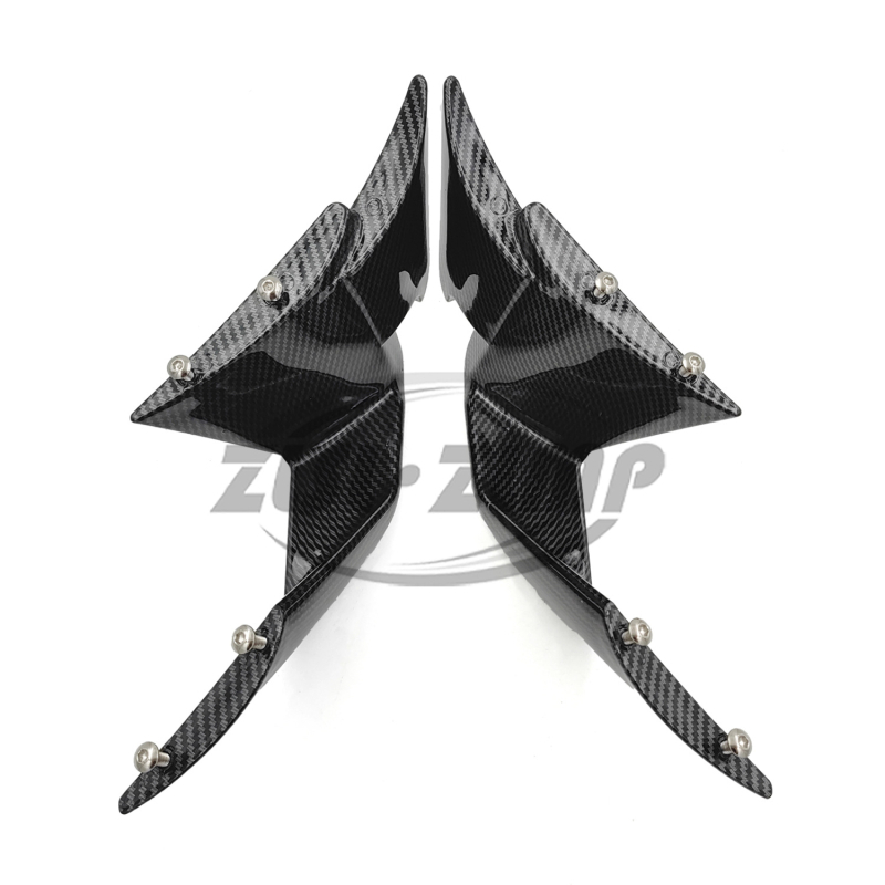 Fiksna krila vjetrobrana za BMW S1000RR (2019–2022), ABS, površina s uzorkom karbonskih vlakana