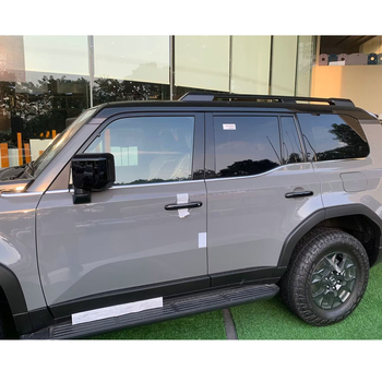 Dekorativne trake za prozore Toyota Prado LC250, 10-dijelni set od nehrđajućeg čelika 304