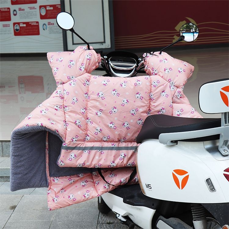 Štitnik protiv vjetra za električna vozila, od plastike, višekratno upotrebljivo, nije vodootporno