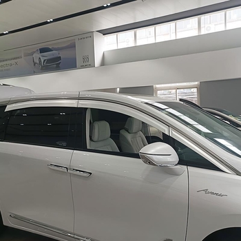 Protecție de ploaie pentru Buick GL8 ES/653T/652T — Just Right, Material: Alt, Personalizare: Disponibilă