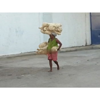 Рафия занаятчийски материал за опаковане на подаръци – растителни влакна за пълнене на подаръчни кутии и сватбена украса