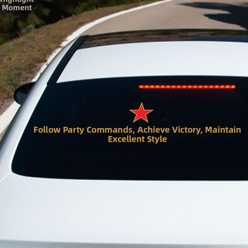 Car Body Sticker – katonai téma, szívófejes rögzítés, méret: más