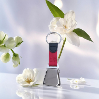 Κλειδοθήκη από σίδηρο με αγκράφα αεροπλάνου