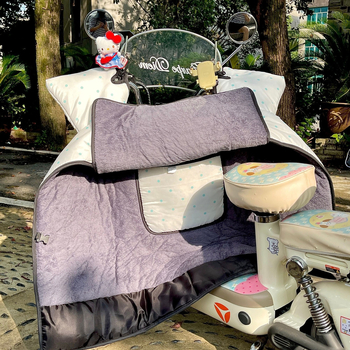 Kryt prednjeg stakla električnog vozila, PU materijal, zimna izolacija, otporan na habanje, za sve sezone