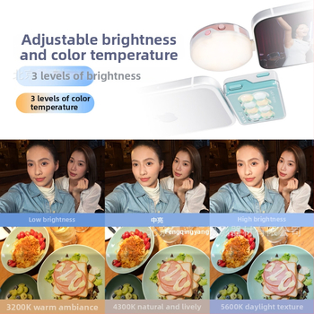 Lumină LED pentru smartphone, alimentare Type-C, cap COB, reglaj luminozității, sursă de alimentare autonomă