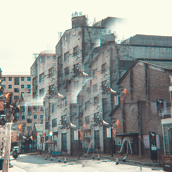 Filtru DSLR cu prismă pentagonală — Model FF014, Materiale: sticlă și hardware, Greutate: 0,3 kg