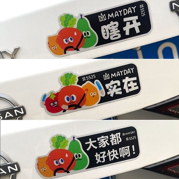 Naljepnice za karoseriju automobila; montaža usisnom čašom (Marka: Druga; Materijal: Drugo; Montaža: usisna čaša)