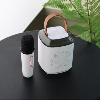 Difuzor portabil pentru karaoke pentru copii cu microfon încorporat, HF530, Bluetooth 5.3, 10W, baterie încorporată 1200–2000 mAh, SNR ≥85 dB, 100 Hz–20 kHz