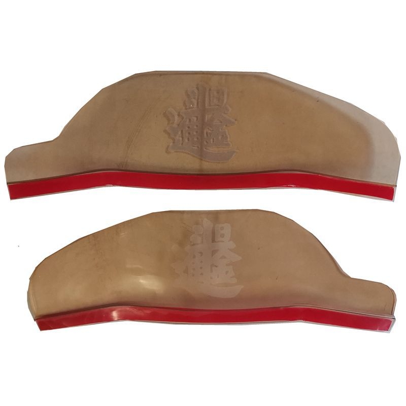 Wan Che Li PVC vizir za kišu za velike kamione — poklopac retrovizora, ljepilom montiran, kompatibilno s MT/manual mjenjačem, jedan par