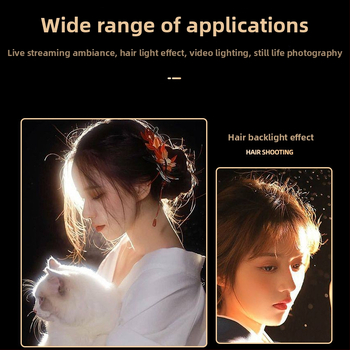 Φορητό φως φωτογράφισης, 2700–6500K θερμοκρασία χρώματος, ρυθμιζόμενη ένταση, βύσμα Ε27, 45–55W, 220V