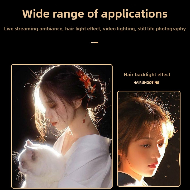 Φορητό φως φωτογράφισης, 2700–6500K θερμοκρασία χρώματος, ρυθμιζόμενη ένταση, βύσμα Ε27, 45–55W, 220V