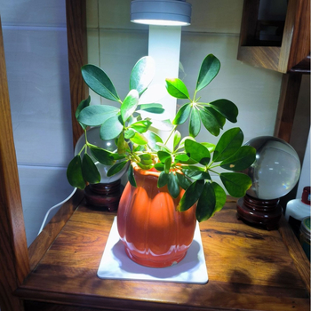 Egb Alumínium Ötvözet Tájépítés Lámpa Asztali Akvaszkaping 7W 2kg