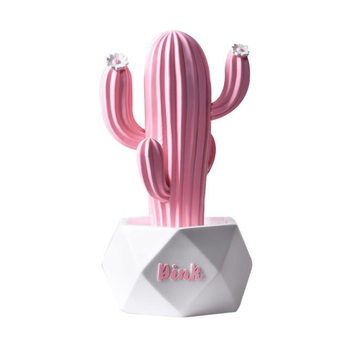 Recuzită fotografică cu cactus — decor de birou în stil Instagram