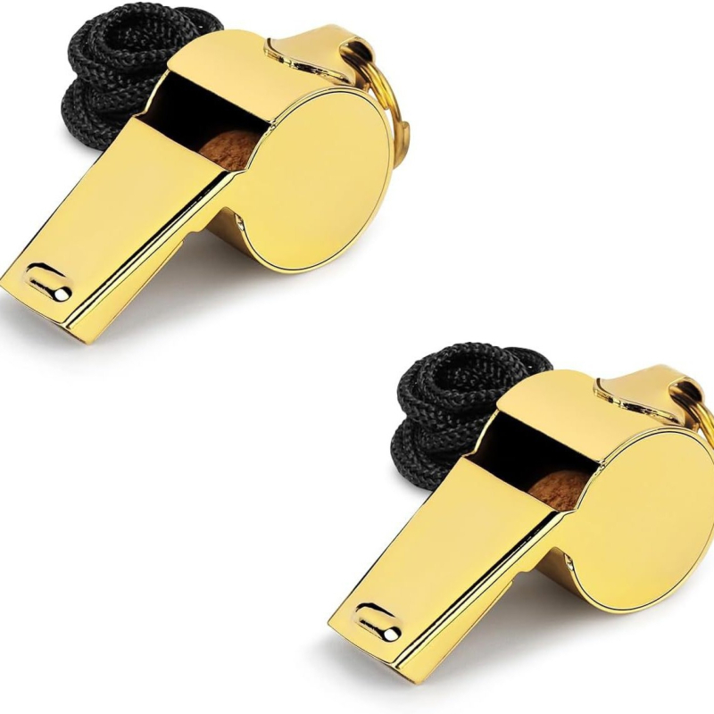 Piskalica od nehrđajućeg čelika za suce i navijače, prilagodba loga dostupna, uključuje kaiš za nošenje