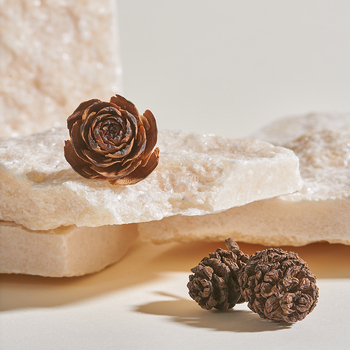 Kamena glava ukras – rekvizit za fotografiranje nakita, dekorativni set