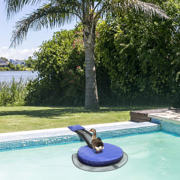 Medencei állatmenekítő háló - nylon, kültéri használat, egységes méret