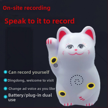 Indukčný zvon na dvere s IR poplachou a nahrávaním zvuku; model 024; dvojité napájanie (batéria a sieťové napájanie); napätie 4,5V; prispôsobiteľný zvonček