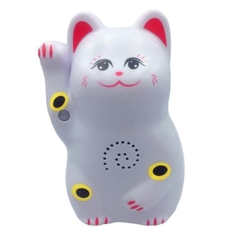 Индукционен звънец за врата с инфрачервена аларма и запис; модел 024; двойно захранване (батерия и захранване); 4.5V; персонализиран тон