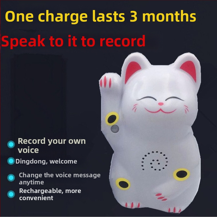 Indukčný zvon na dvere s IR poplachou a nahrávaním zvuku; model 024; dvojité napájanie (batéria a sieťové napájanie); napätie 4,5V; prispôsobiteľný zvonček