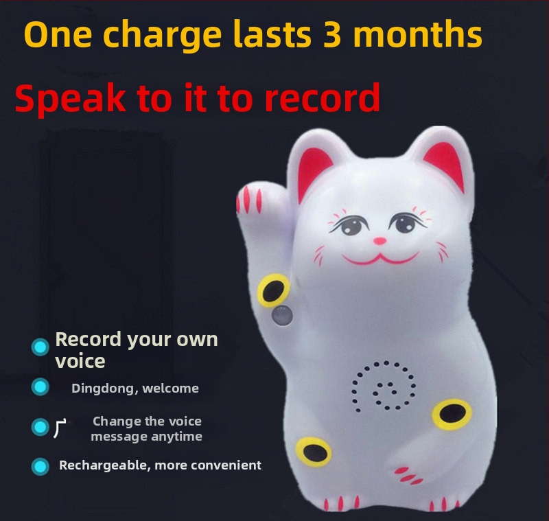 Indukčný zvon na dvere s IR poplachou a nahrávaním zvuku; model 024; dvojité napájanie (batéria a sieťové napájanie); napätie 4,5V; prispôsobiteľný zvonček