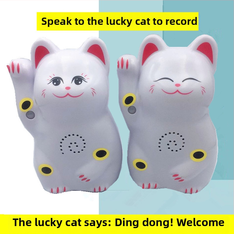 Indukčný zvon na dvere s IR poplachou a nahrávaním zvuku; model 024; dvojité napájanie (batéria a sieťové napájanie); napätie 4,5V; prispôsobiteľný zvonček